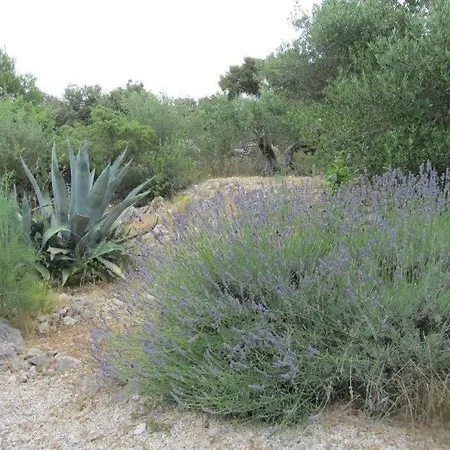 With Parking Space Razanj, Rogoznica - 22376 Razanj