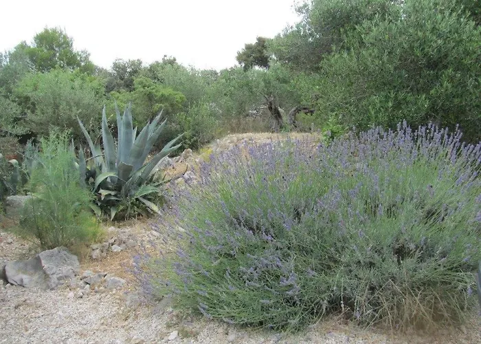 With Parking Space Razanj, Rogoznica - 22376 Razanj